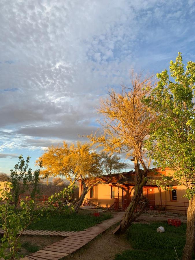 Sami Atacama Villa ซานเปโดร เด อาตากามา ภายนอก รูปภาพ